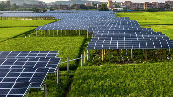 Agricultural Solar Services Installation completed